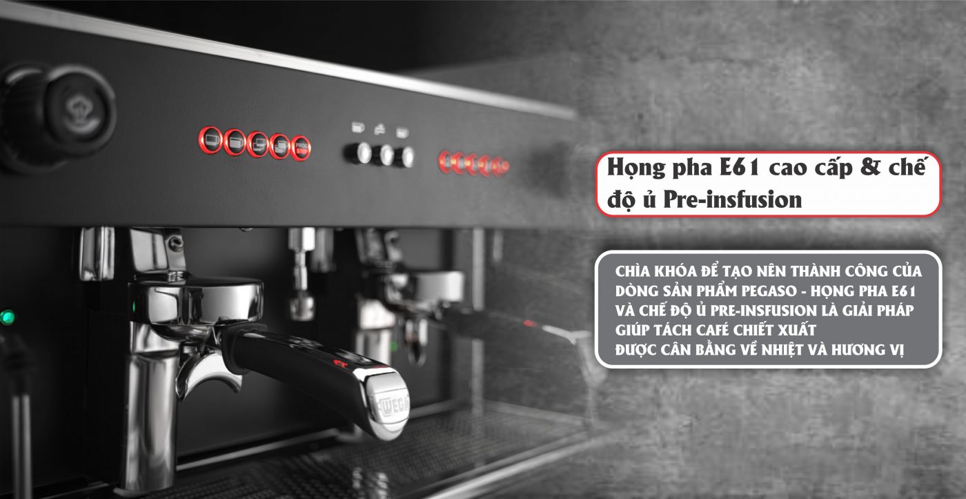 – Hotline 24/7 – 0901836837