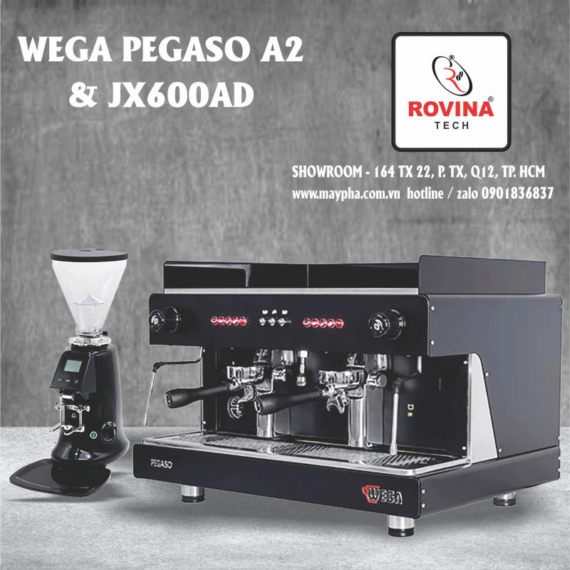 – Hotline 24/7 – 0901836837