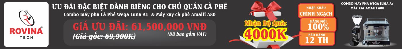 COmbo máy pha cà phế WEGA LUNNA và máy xay cà phê AMALFI A80